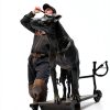 Momarsh Ramp Stand Foldable Dog Safety Boat Ladder-6