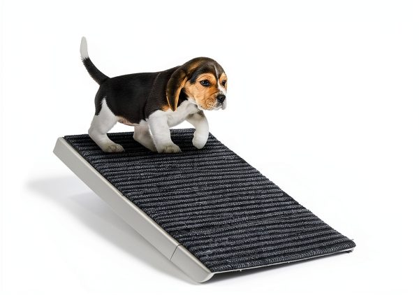 Kacoomi Dog Safety Ramp Adjustable Height Foldable Pet Ramp-6