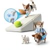 PetSafe Foldable Dog Ramp HXX486-3