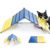 Koretech Dog Agility Ramp Adjustable Foldable Training-2