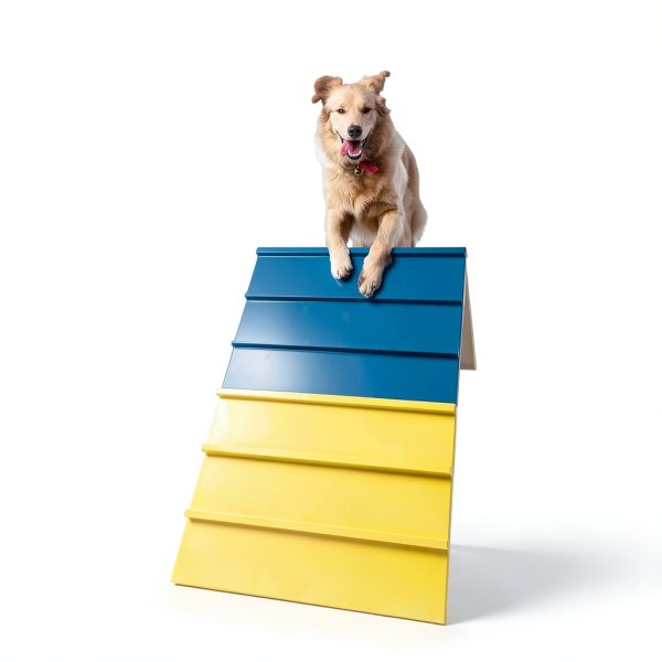 Koretech Dog Agility Ramp Adjustable Foldable Training-5