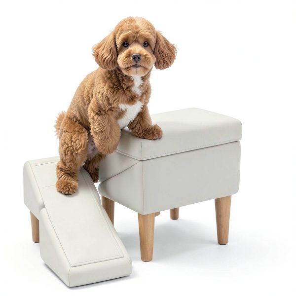 PetSafe Foldable Dog Ramp HXX486-5