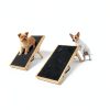 Hy-Wramp-NW Wooden Pet Ramp by Pawsome Pets-4