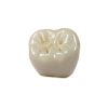 Dental Creations Z-Shine Diamond Polishing Kit Zirconia 5g-1