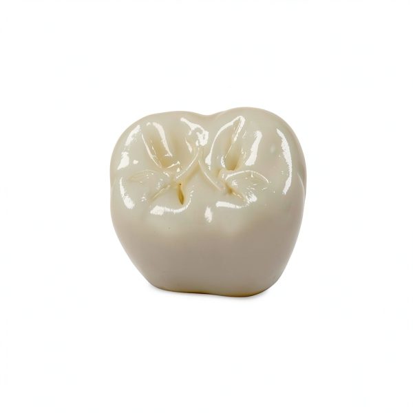Dental Creations Z-Shine Diamond Polishing Kit Zirconia 5g-1